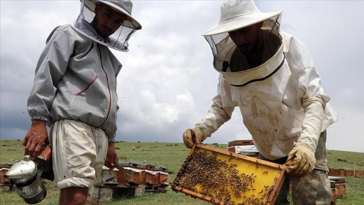 İbrahim Yumaklı: Arıcılara 2024’te 984,6 milyon lira ödeme yapıldı