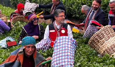 İbrahim Yumaklı: İklim değişikliği çayı etkilemedi