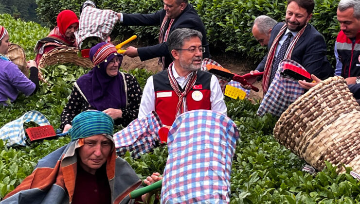 İbrahim Yumaklı: İklim değişikliği çayı etkilemedi