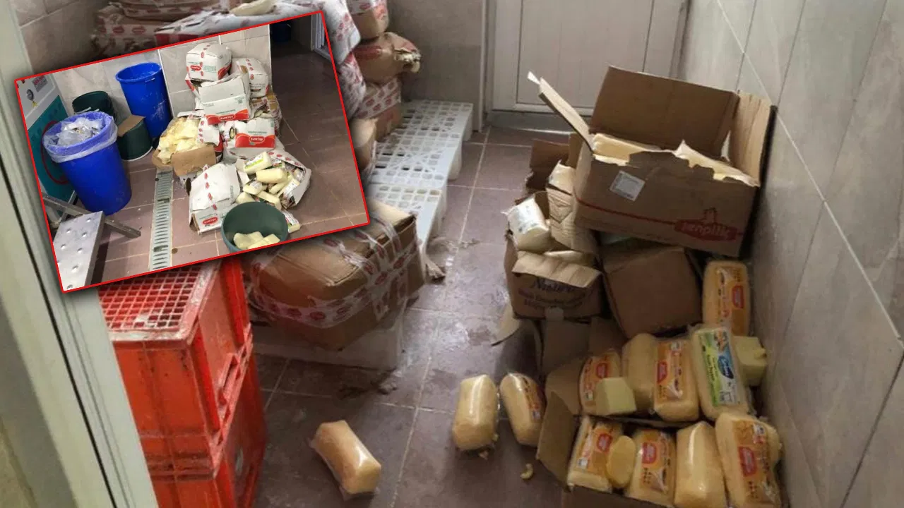 İlk vukuatları değlimiş… İşletmede mide bulandıran ‘kaşar peyniri’ skandalı: Tam 5 Ton imha edildi