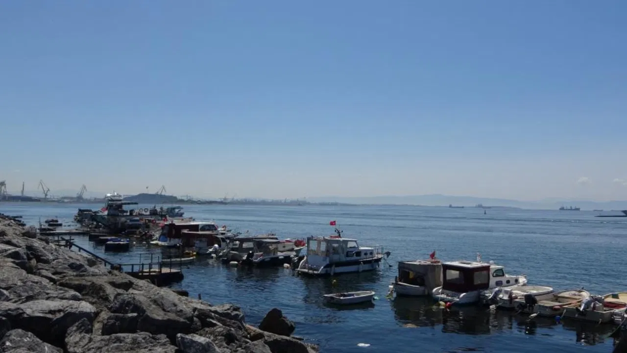 İstanbul’da oltaya köpek balığı takıldı