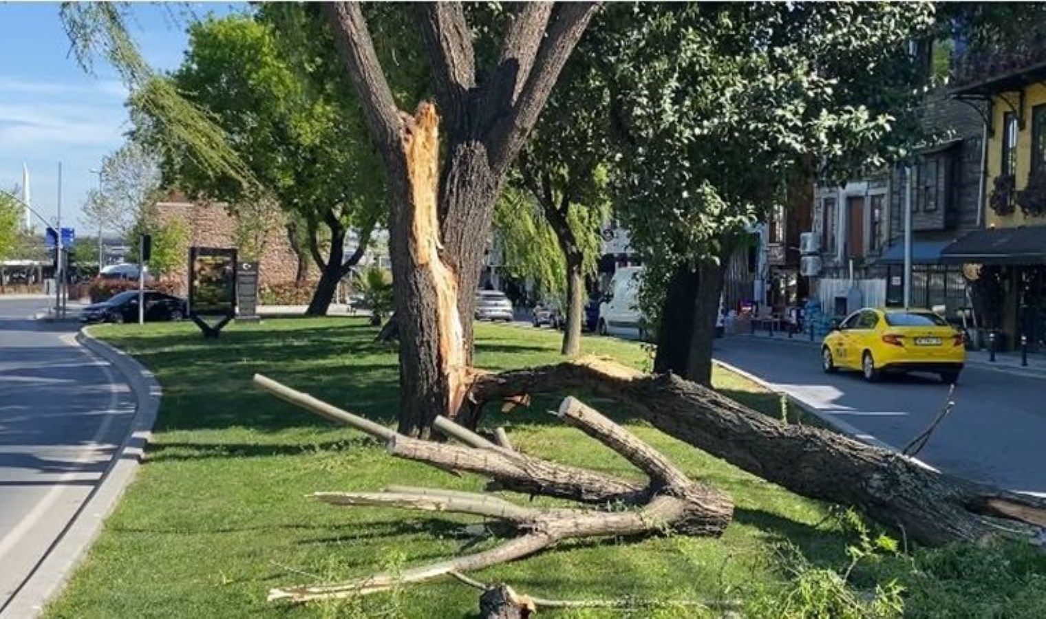İstanbul’u fırtına vurdu: Ağaçlar otomobillerin üzerine devrildi!