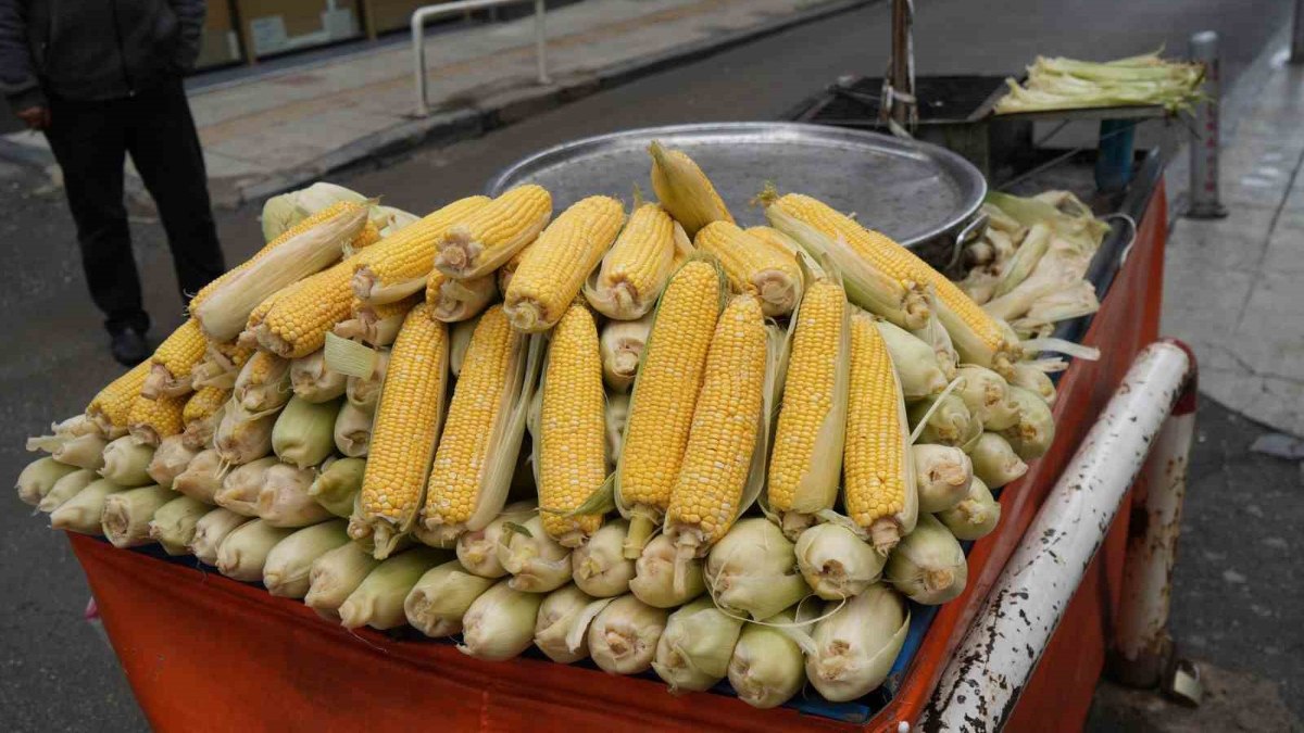 İster köz, ister haşlama! Süt mısır tezgahta: İşte fiyatı…