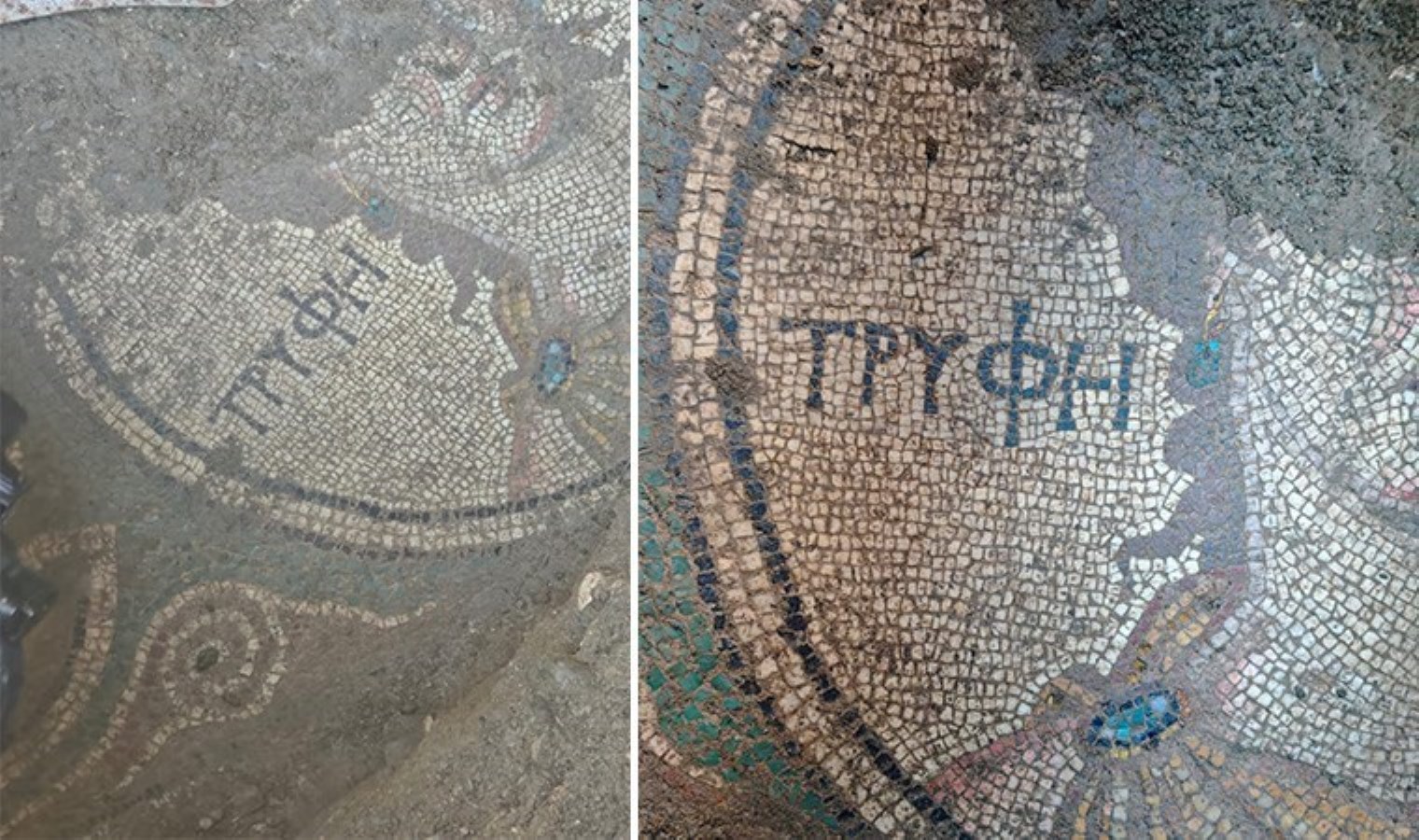 İzinsiz kazıda Antik Yunanca yazı olan mozaik bulundu: 2 tutuklama