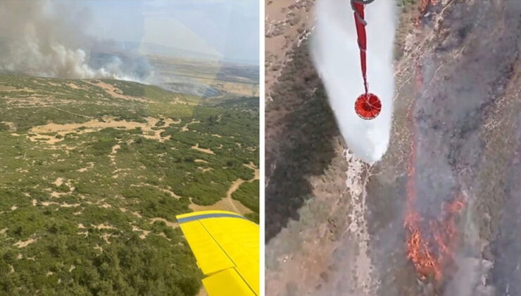 İzmir Foça’da korkutan yangın: Araziden ormana sıçradı!