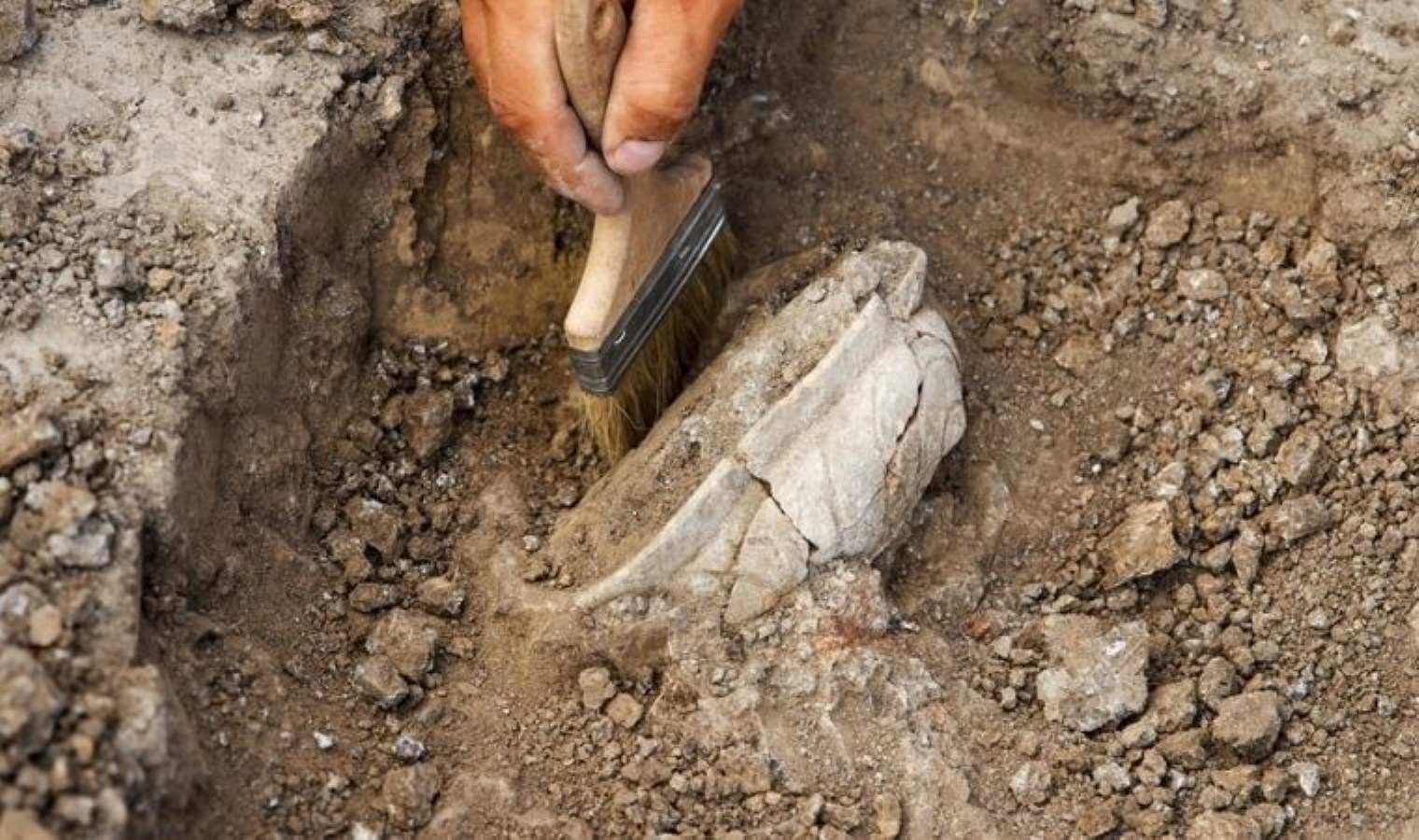 İzmir’de çiftçinin iş makinesine takıldı: Arkeologlar harekete geçti…