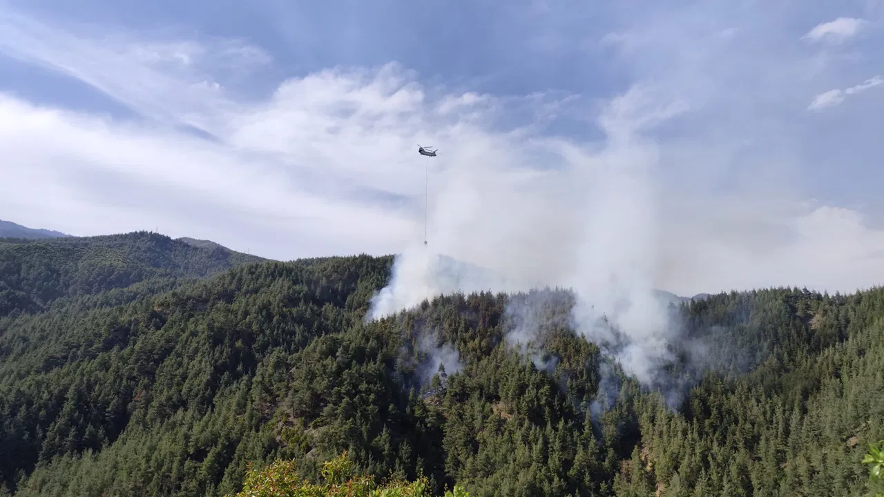 Kahramanmaraş’ta orman yangını!