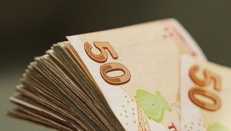 Kamu kurum ve kuruluşlarında yeni ücret limiti