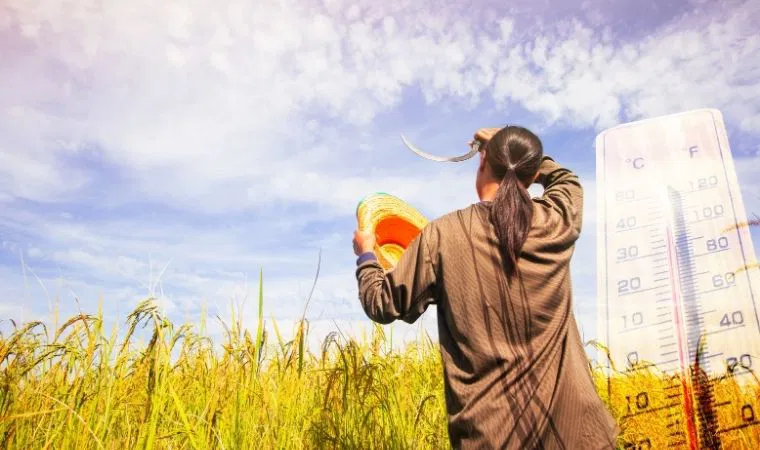 Kavurucu yaz sıcaklarına karşı kalkanınızı hazırlayın: Sıcak çarpmalarına karşı etkili 8 önlem
