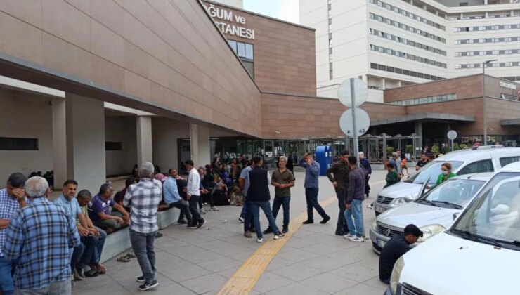 Kaza sonrası 8 ay bitkisel hayatta kalıp vefat etti: ‘Normal ölüm’ raporu tutuldu