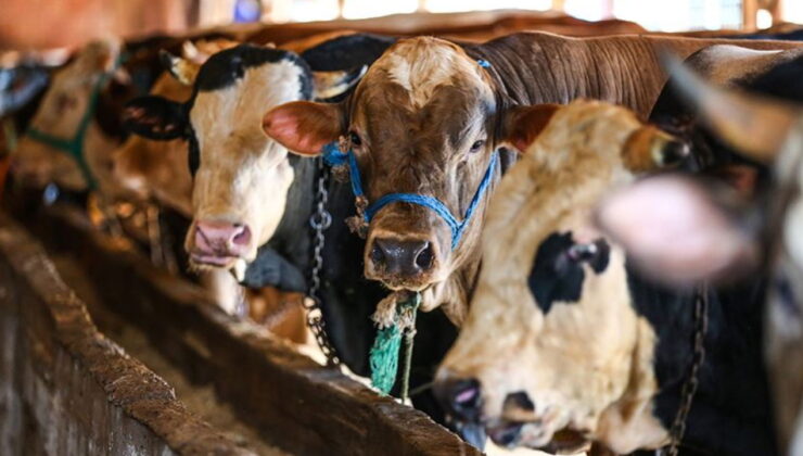 Kurban Bayramı 1. günü ne zaman? Bayram arefesi ne zaman?