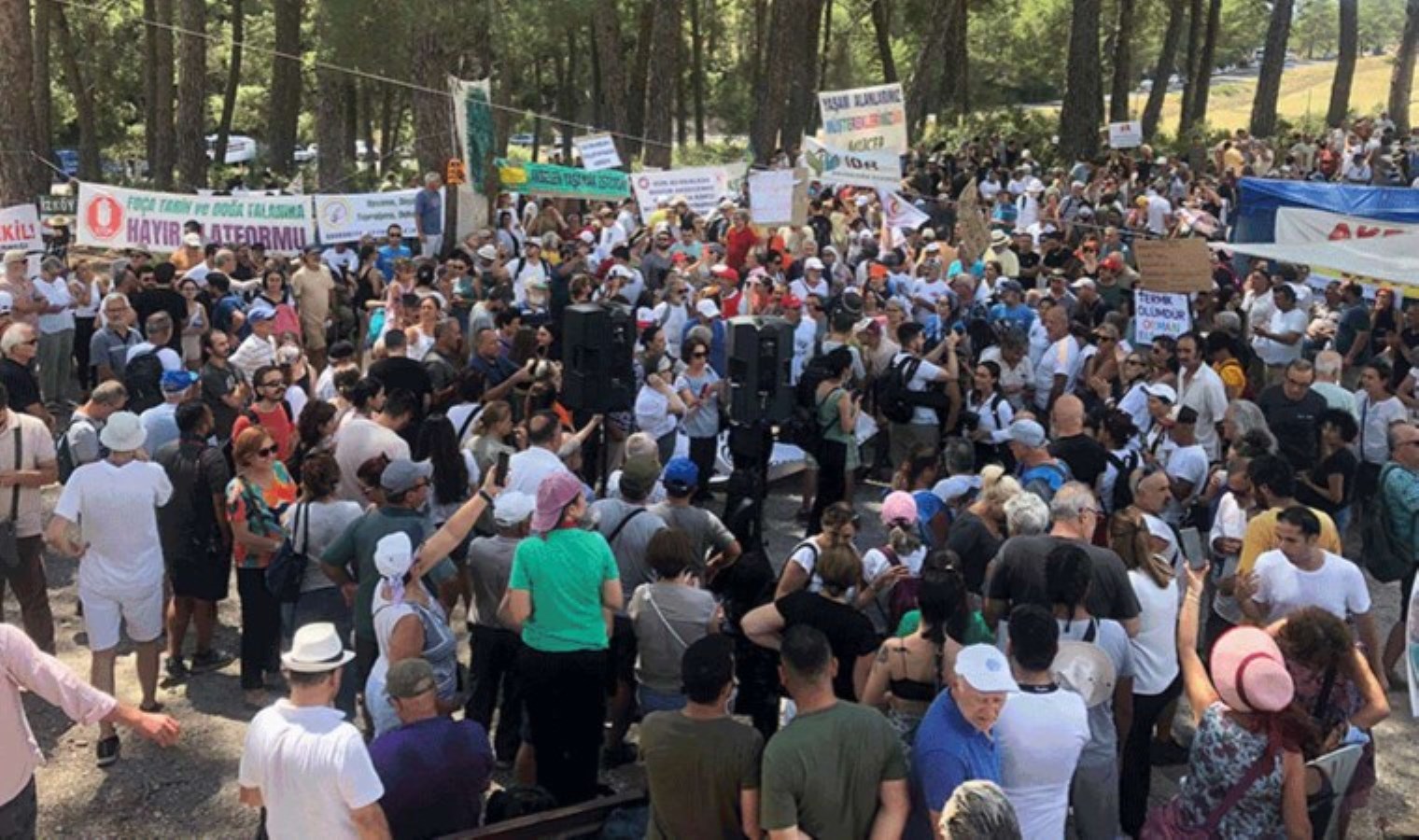 Limak Akbelen’i yok etti, kömür bile bulamadı