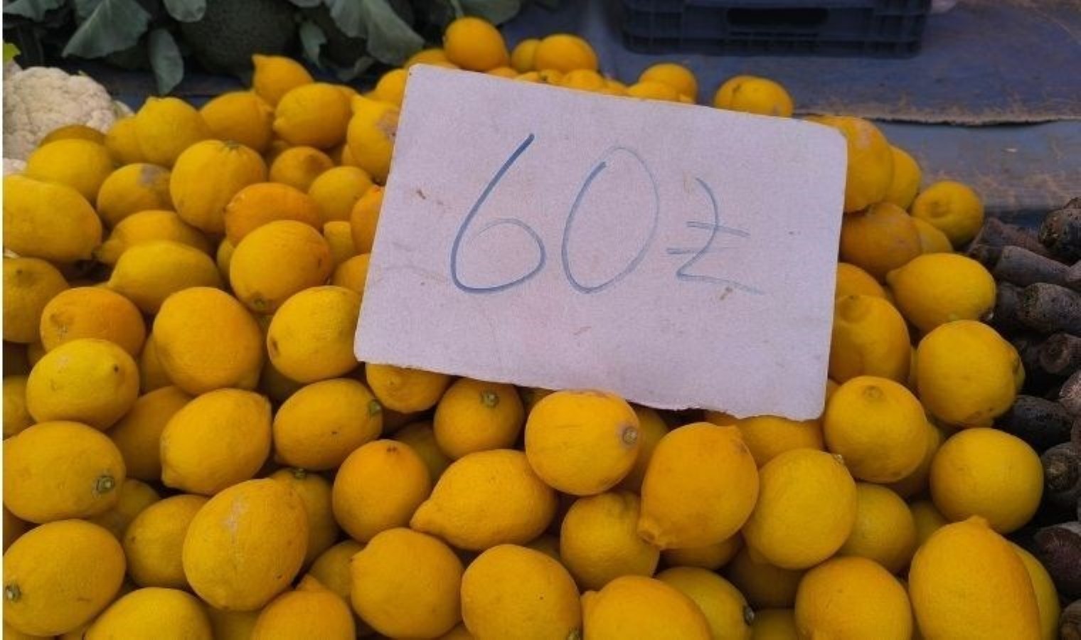 Limon fiyatlarına don vurdu fiyatı uçtu