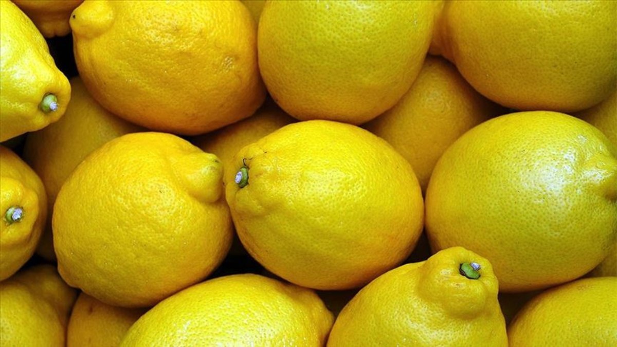Limon ihracatını durdurma kararı 15 Mayıs’a ertelendi