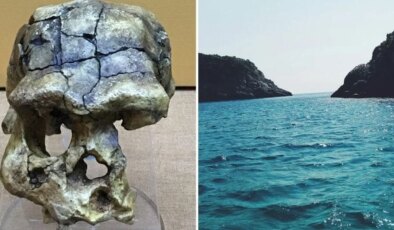 Madura Boğazı’nda keşfedildi: 140 bin yıllık kafatası tarihi değiştiriyor