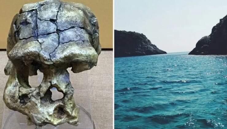 Madura Boğazı’nda keşfedildi: 140 bin yıllık kafatası tarihi değiştiriyor