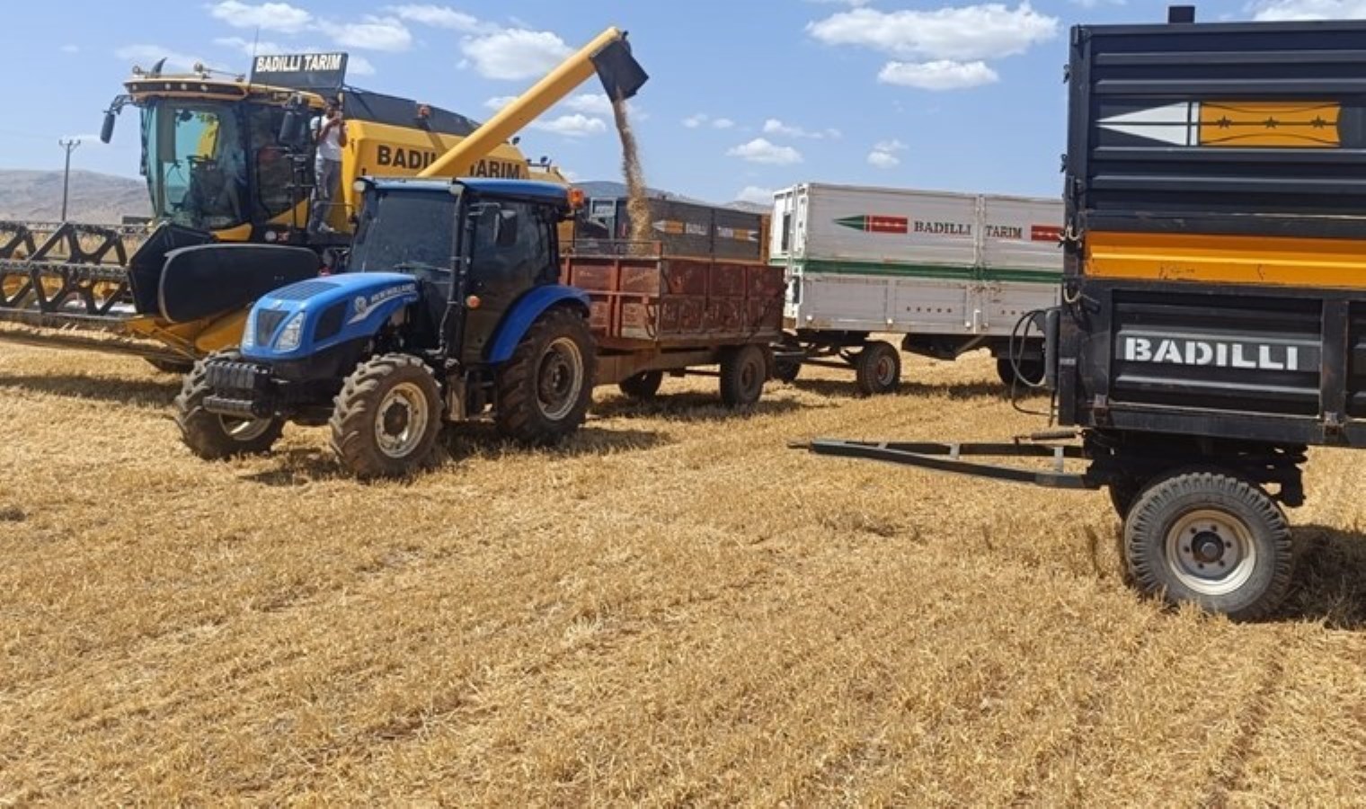 Mardin’de sezonun ilk hasadı yapıldı:  Tonu 12 bin liradan satıldı