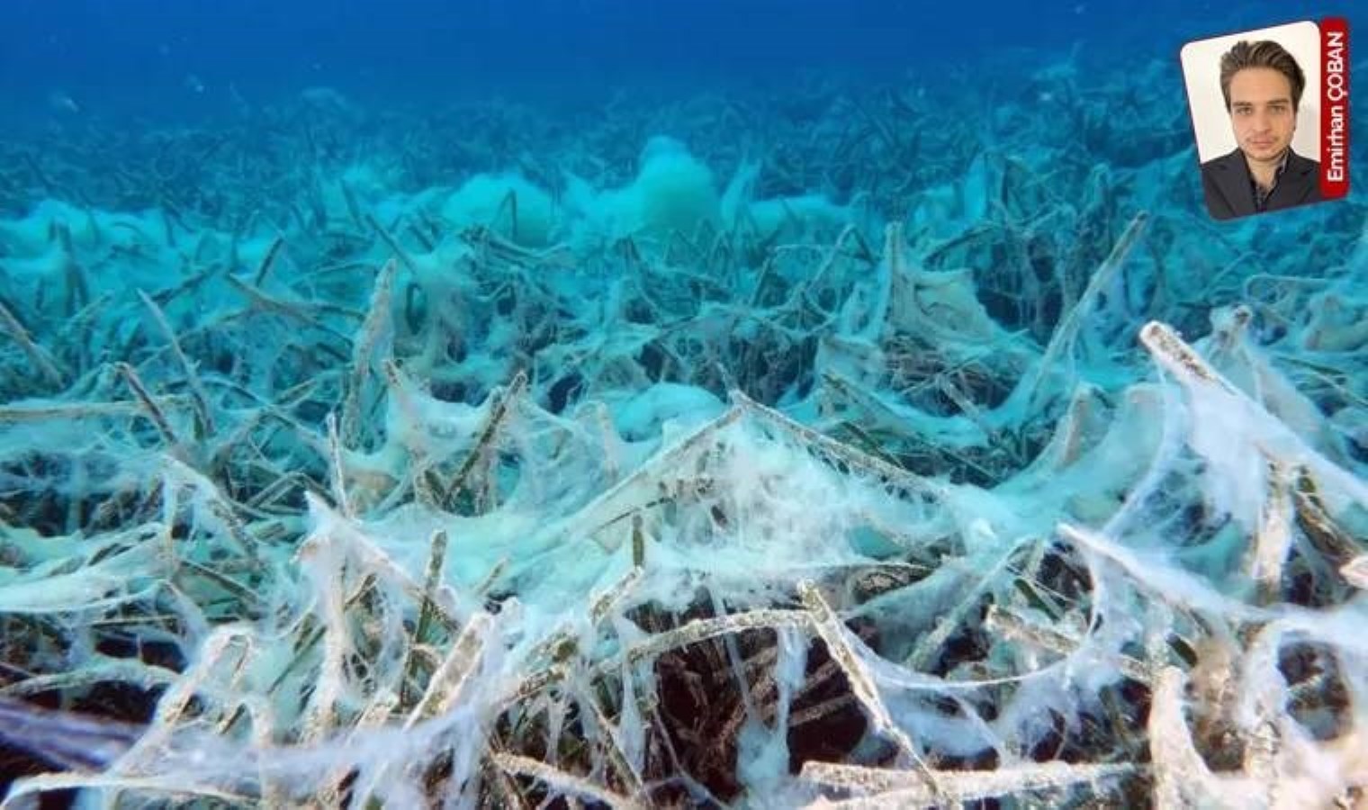 Marmara denizinde müsilaj yeniden ortaya çıkıyor: CHP’li Yanıkömeroğlu, sorunu Meclis gündemine taşıdı