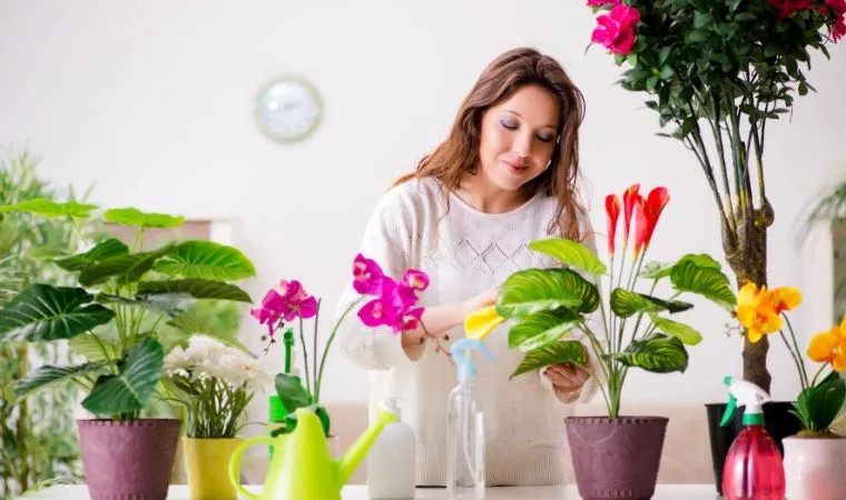 Mutfağınızdan geçen tüyolarla solmuş çiçeklere elveda diyin: Bitkileri coşturan 6 doğal yöntem