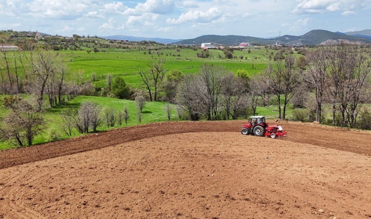 Ordu’nun atıl arazilerinde yetişiyor: 34 bin 800 dekar alana ekildi….