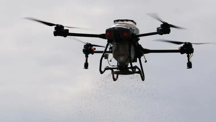 Osmanlı saray mutfağının vazgeçilmezi: Ekimi drone ile gerçekleşti