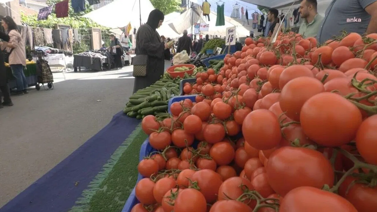 Pazardaki yurttaş: ‘Kemal Sunal’ın filmi gibi  tane tane zeytine bakıyoruz’