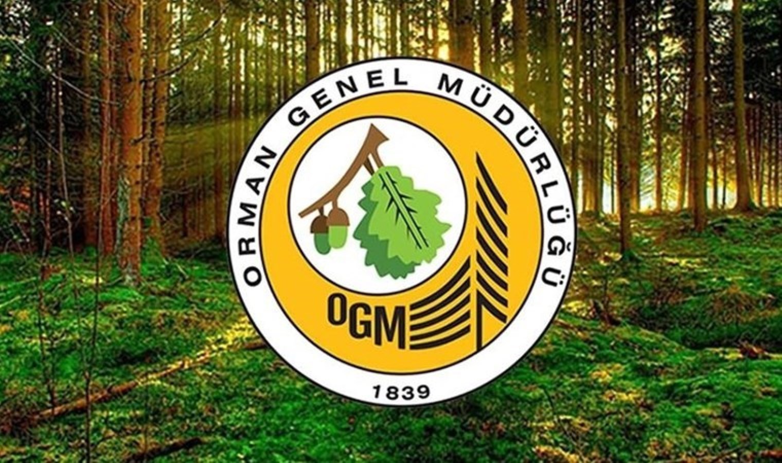 Resmi Gazete’de yayımlandı: Orman Genel Müdürlüğü 105 personel alacak! İşte başvuru şartları…