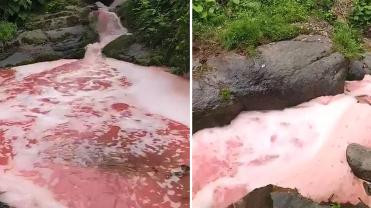 Rize’de ‘kırmızı’ alarm: Ekipler inceleme başlattı