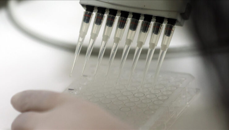 Sağlık Bakanlığı’ndan yerli aşı hamlesi: 13 aşı üretilecek