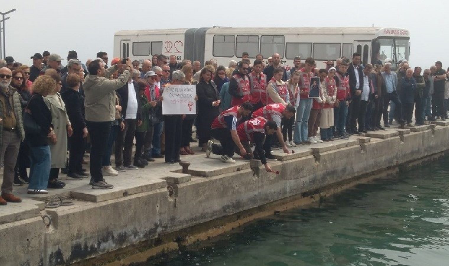 Sinop’ta gençler 3 fidan için toplandı, denize karanfil bırakıldı