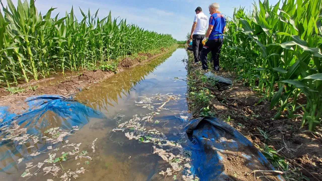 Sulama için tarlaya gitti, cansız bedeni bulundu!