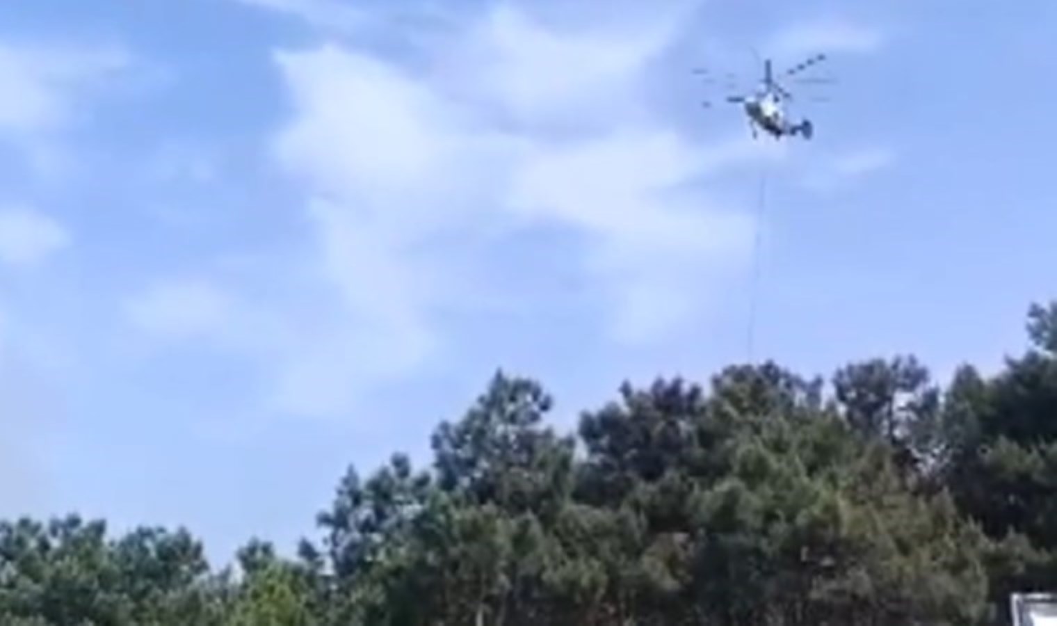 Sultangazi Kent Ormanı’nda yangın