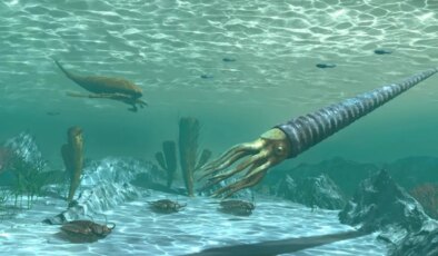 Tarihin en büyük yok oluşlarından biri: Ordovisiyen Felaketi nasıl gerçekleşti?