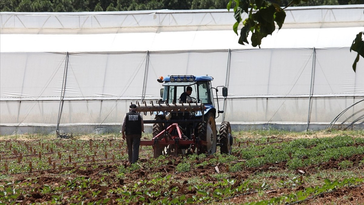 Tarımda 81 ile 50 milyon euroluk hibe programı