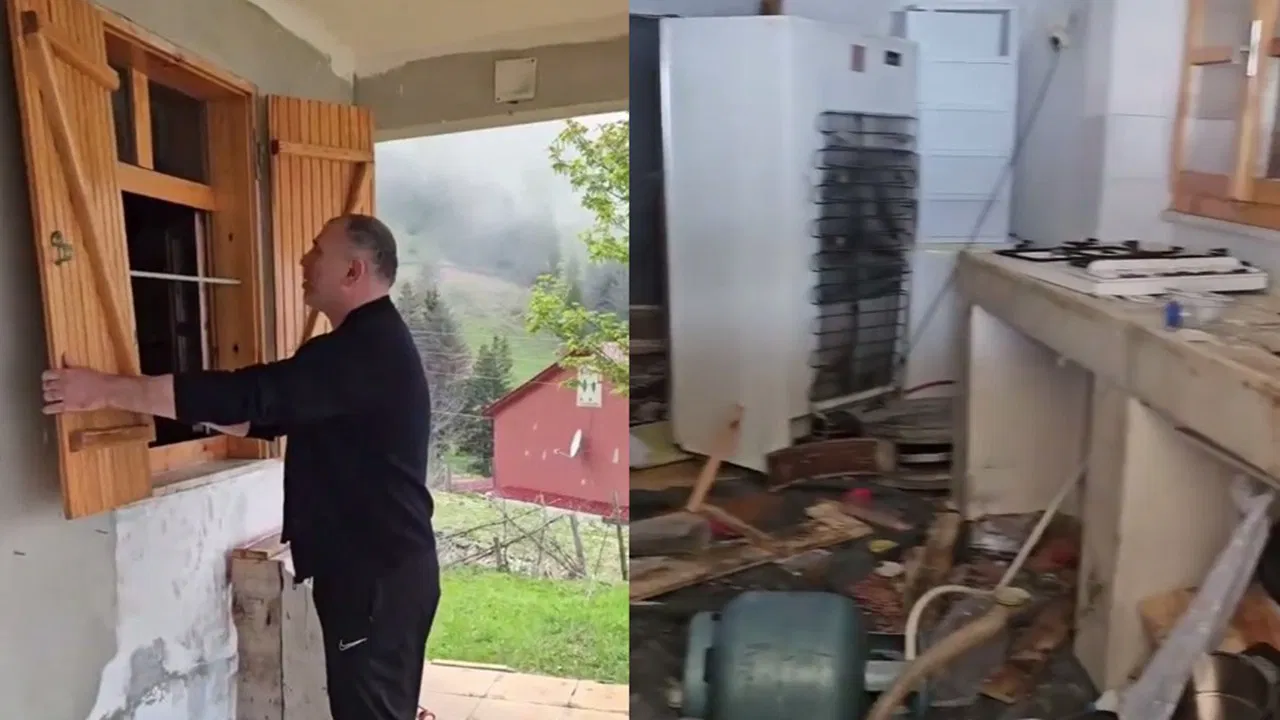 Trabzon’da aç kalan ayılar, belediye başkanının evine girdi