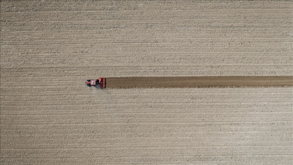TÜİK, tarım üretici enflasyonunu açıkladı