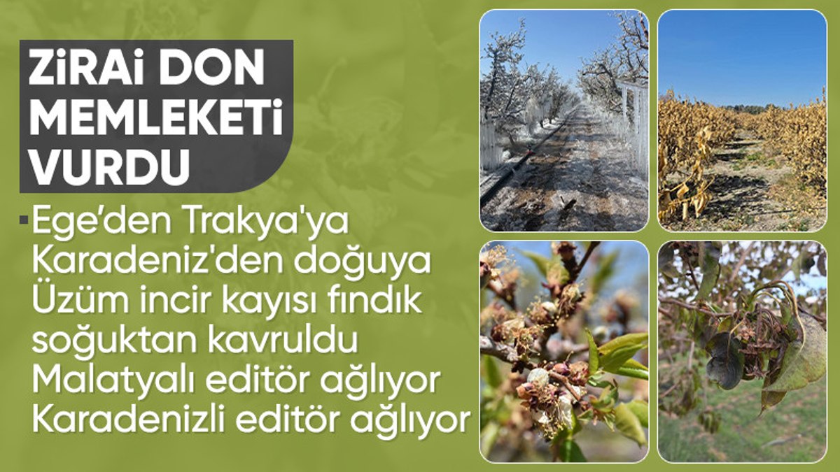 Türkiye, tarihin en büyük zirai don süreçlerinden birinden geçiyor