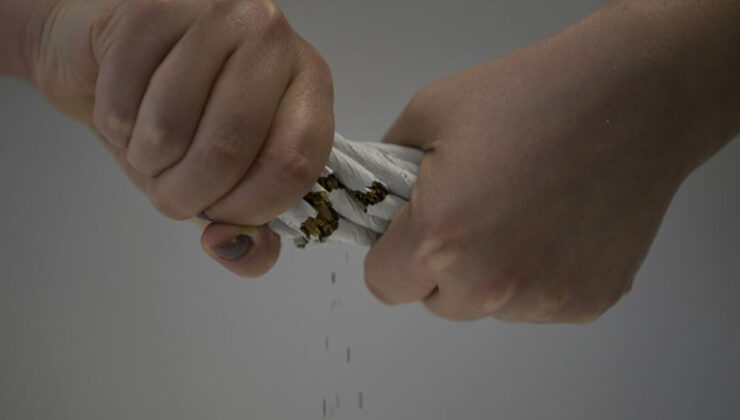 Türkiye’de 2024 yılında içilen sigara miktarı, tarihin en yüksek seviyesi ile rekor kırdı