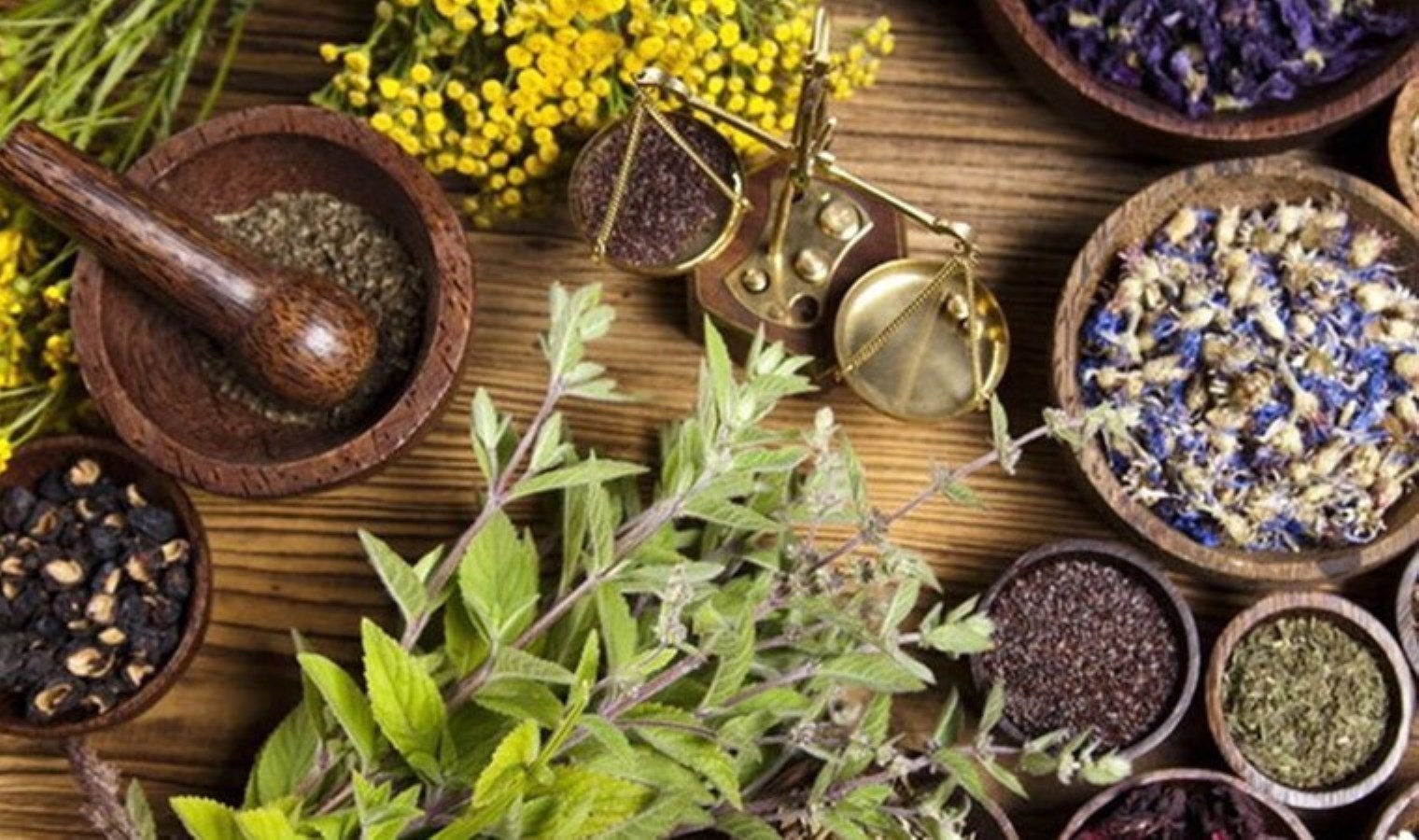 Uzmanı uyardı: Bilinçsizce toplanan otlar şifa değil zehir olabilir!