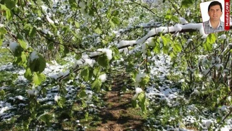 Yaz geldi komisyon sadece 2 kez toplanabildi: Çiftçi derdiyle baş başa kaldı