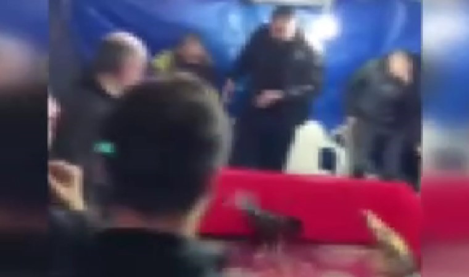 Yer İstanbul! Horoz dövüştürürken yakalandılar: 194 bin 187 TL para cezası kesildi