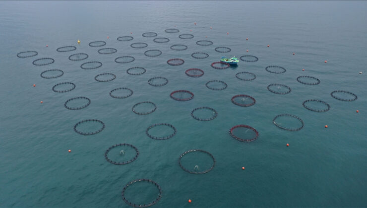 Yılın ilk 4 ayında Doğu Karadeniz’den 21 ülkeye su ürünü ihracatı