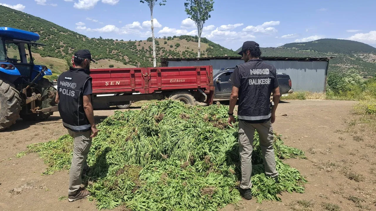 Yöntemleri ifşa oldu: Hint keneviri yetiştiren 5 şüpheliye gözaltı!