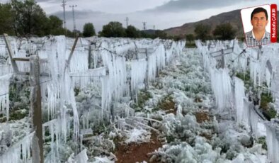 ‘Zirai donda‘ veri fiyaskosu: Sunumlar AKP’yi bile tatmin etmedi