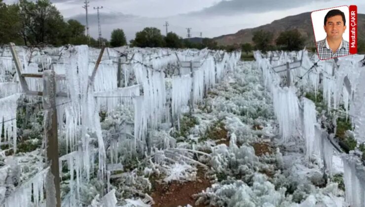 ‘Zirai donda‘ veri fiyaskosu: Sunumlar AKP’yi bile tatmin etmedi