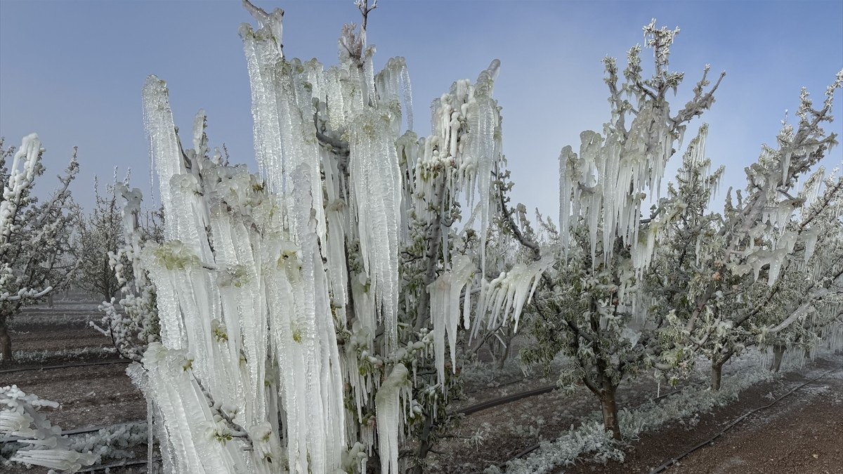 Zirai dondan korunmanın yolları