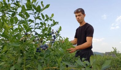 22 yaşında kendi bahçesini kurdu, şimdi 15 ton hasat bekliyor
