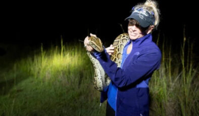 ABD’de piton istilası