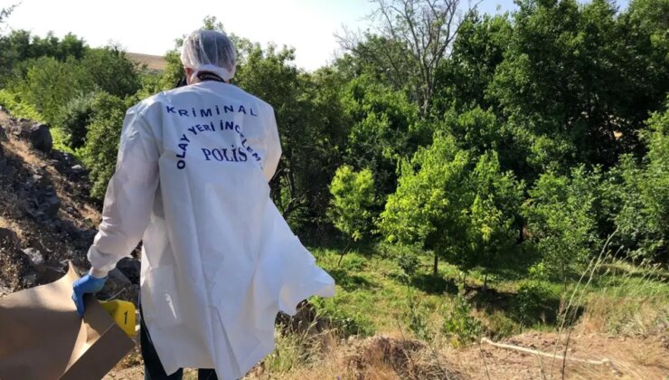 Ağaca asılı halde erkek cesedi bulundu