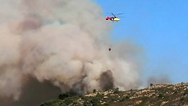 Antalya’da bir orman yangını daha